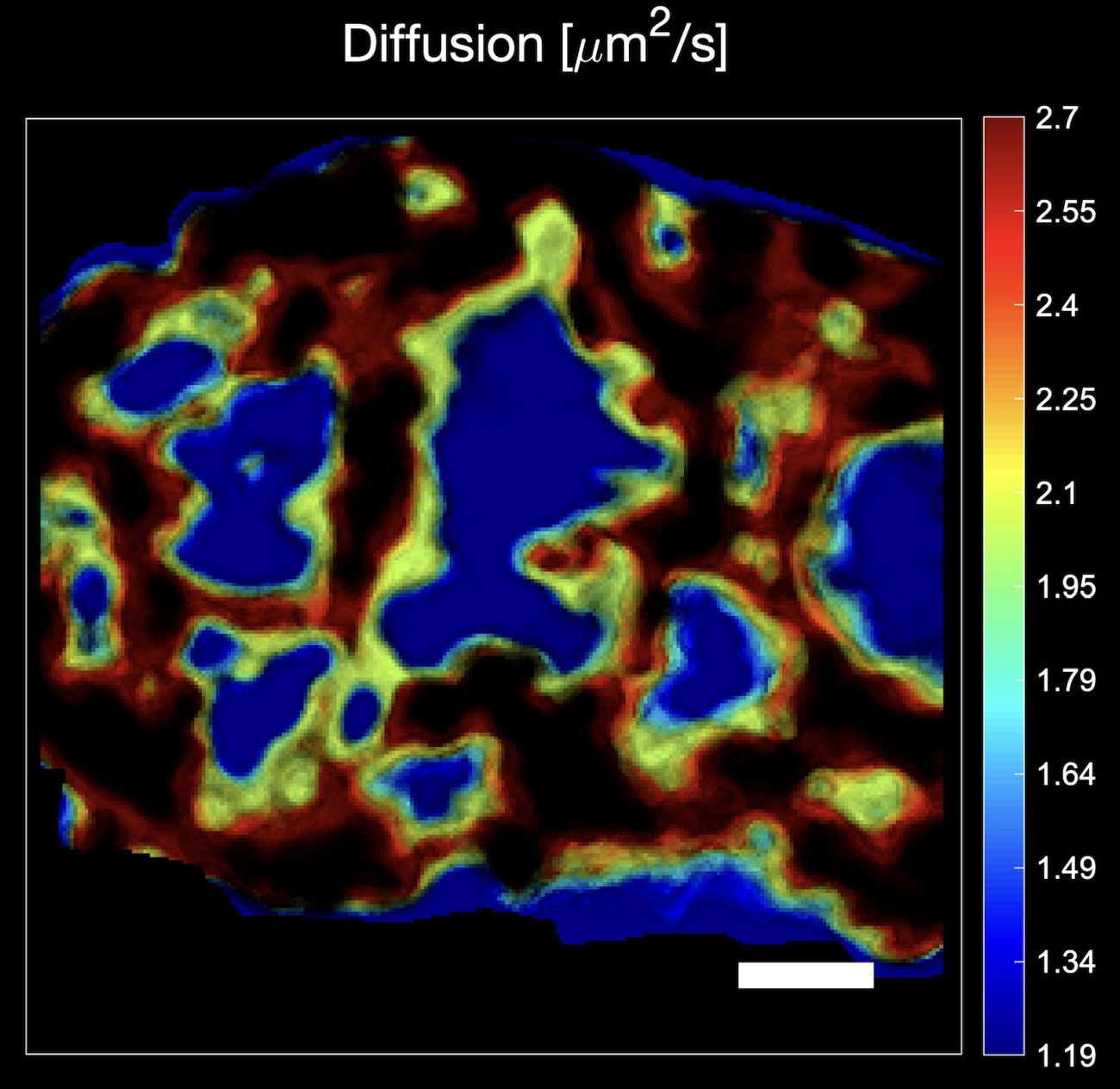 New software from UHasselt and ZEISS shows in sharp detail how biomolecules move in cells. New software from UHasselt and ZEISS shows in sharp detail how biomolecules move in cells.