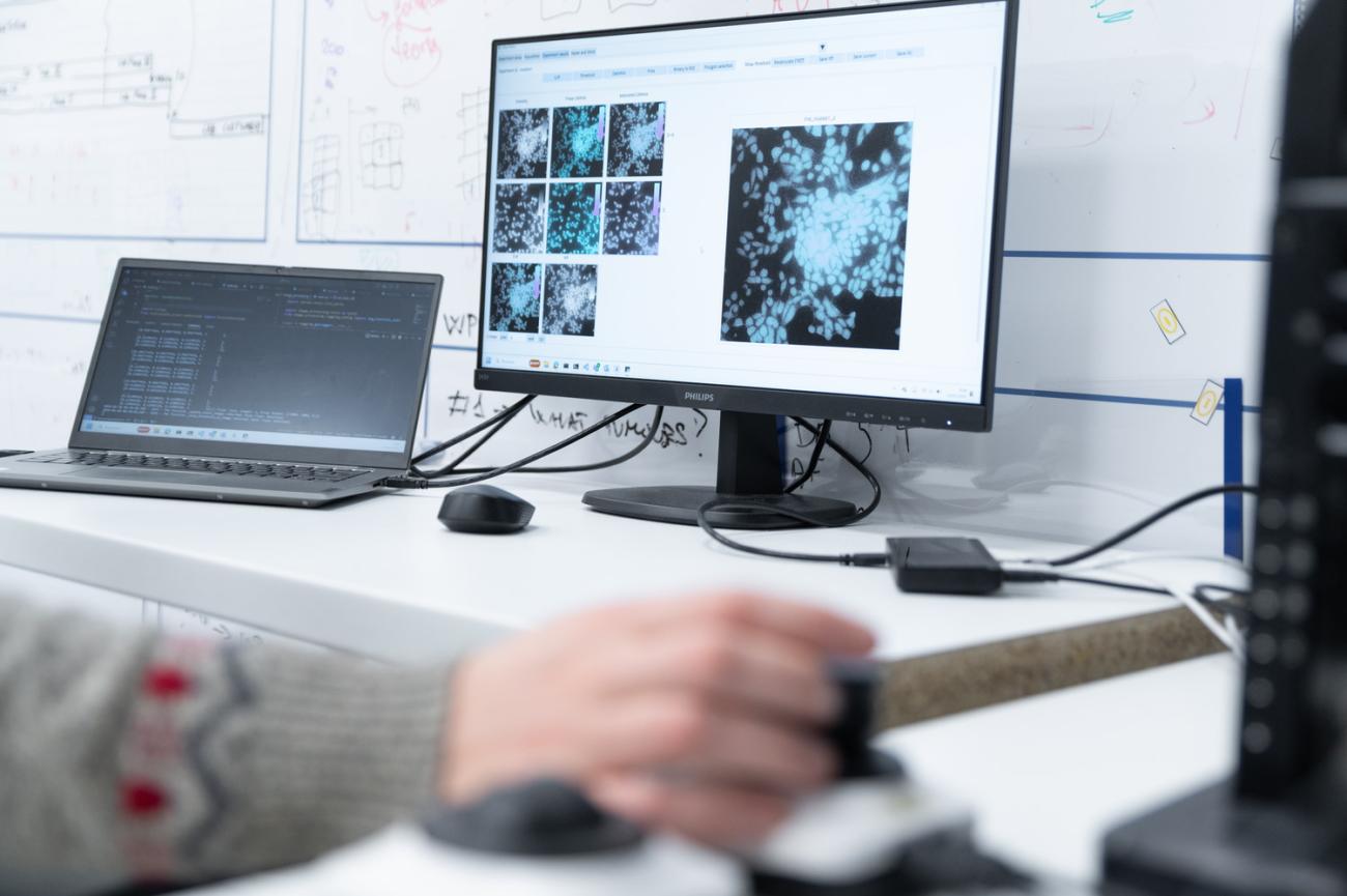 A new spatial biology standard for quantitative analysis of protein functions in tissue and cells