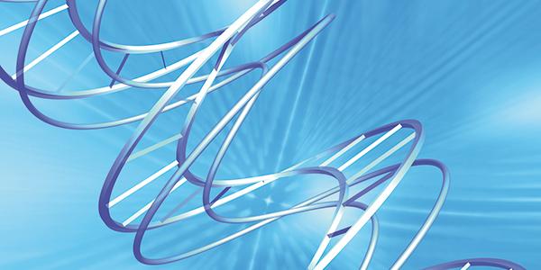 Biocartis launches Idylla™ GeneFusion Assay as rapid lab workflow solution for gene fusion testing Biocartis launches Idylla™ GeneFusion Assay as rapid lab workflow solution for gene fusion testing